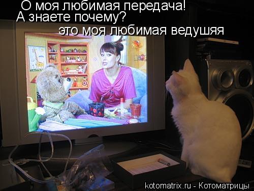 Котоматрица: О моя любимая передача! А знаете почему? это моя любимая ведушяя