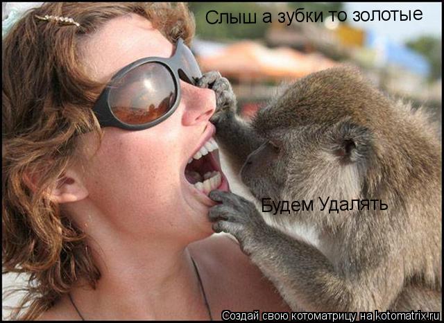 Слыш а зубки то золотые Будем Удалять... Котоматрица: Слыш а зубки то золотые Будем Удалять