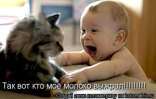 Так вот кто моё молоко выжрал!!!!!!!!!... Котоматрица: Так вот кто моё молоко выжрал!!!!!!!!!