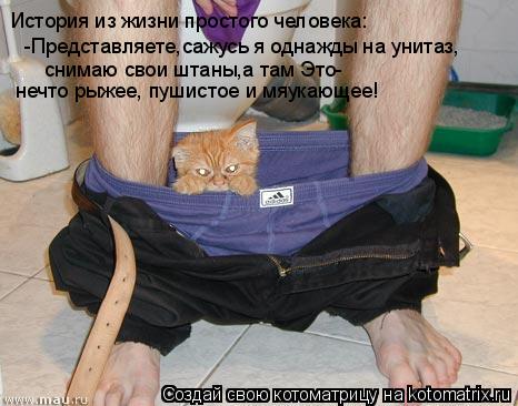История из жизни простого человека: -Представляете,сажусь я однажды на унитаз, снимаю свои штаны,а та... Котоматрица: История из жизни простого человека: -Представляете,сажусь я однажды на унитаз, снимаю свои штаны,а там Это- нечто рыжее, пушистое и мяукающе