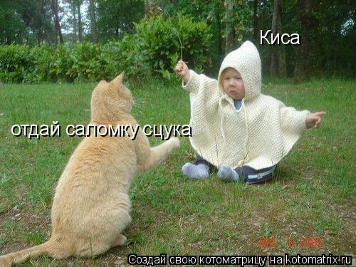 Киса отдай саломку сцука... Котоматрица: Киса отдай саломку сцука