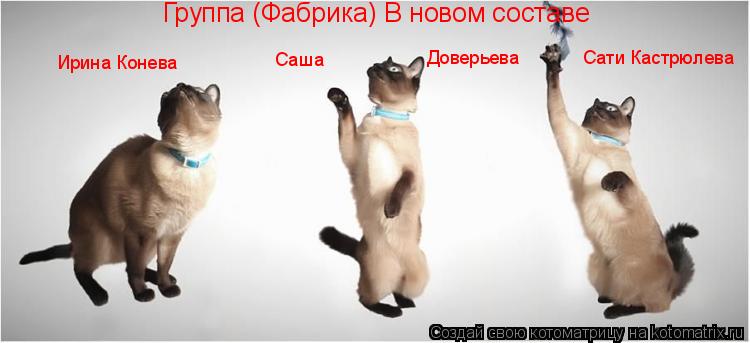 Котоматрица: Группа (Фабрика) В новом составе Ирина Конева Саша Доверьева Сати Кастрюлева