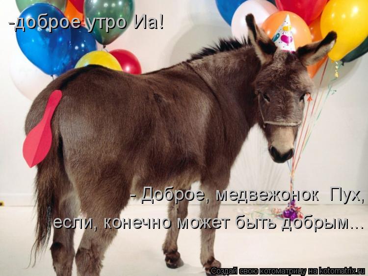 -доброе утро Иа! - Доброе, медвежонок Пух, если, конечно может быть добрым...... Котоматрица: -доброе утро Иа! - Доброе, медвежонок Пух, если, конечно может быть добрым...