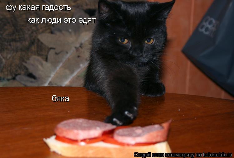 фу какая гадость как люди это едят бяка... Котоматрица: фу какая гадость как люди это едят бяка
