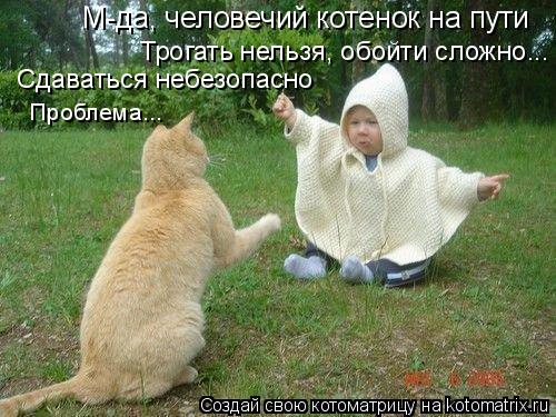 М-да, человечий котенок на пути Трогать нельзя, обойти сложно... Сдаваться небезопасно Проблема...... Котоматрица: М-да, человечий котенок на пути Трогать нельзя, обойти сложно... Сдаваться небезопасно Проблема...