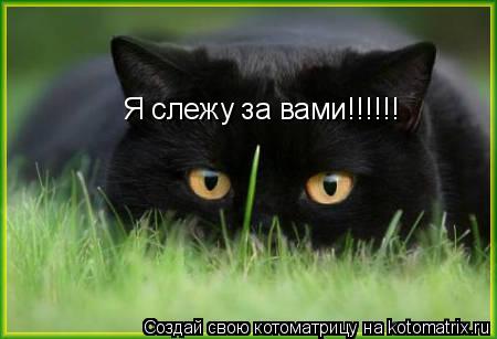 Я слежу за вами!!!!!!... Котоматрица: Я слежу за вами!!!!!!