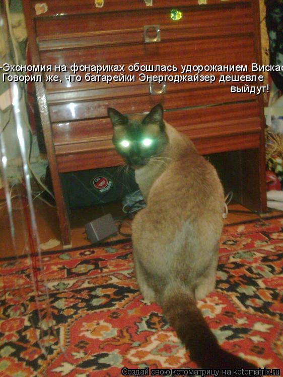 -Экономия на фонариках обошлась удорожанием Вискаса Говорил же, что батарейки Энергоджайзер дешевле в... Котоматрица: -Экономия на фонариках обошлась удорожанием Вискаса Говорил же, что батарейки Энергоджайзер дешевле выйдут!
