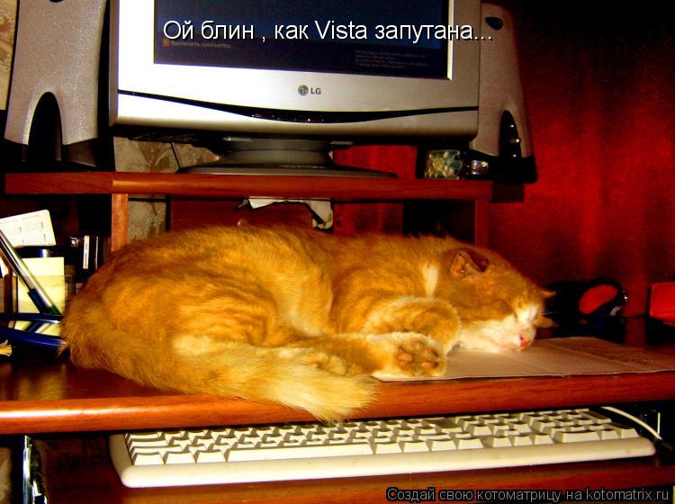 Ой блин , как Vista запутана...... Котоматрица: Ой блин , как Vista запутана...