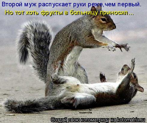 Второй муж распускает руки реже,чем первый. Но тот хоть фрукты в больницу приносил...... Котоматрица: Второй муж распускает руки реже,чем первый. Но тот хоть фрукты в больницу приносил...