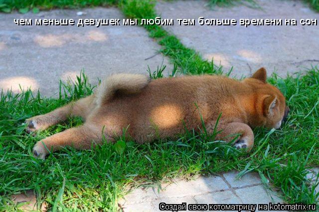 чем меньше девушек мы любим тем больше времени на сон... Котоматрица: чем меньше девушек мы любим тем больше времени на сон