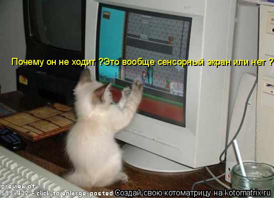 Котоматрица: Почему он не ходит ?Это вообще сенсорный экран или нет ?