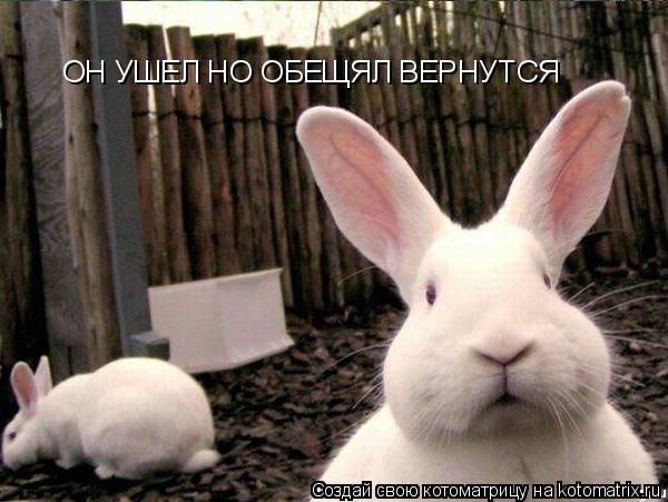 ОН УШЕЛ НО ОБЕЩЯЛ ВЕРНУТСЯ... Котоматрица: ОН УШЕЛ НО ОБЕЩЯЛ ВЕРНУТСЯ
