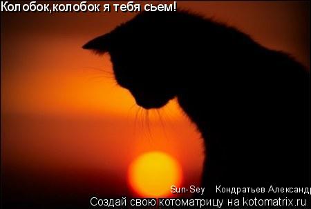 Котоматрица: Колобок,колобок я тебя сьем! Sun-Sey    Кондратьев Александр