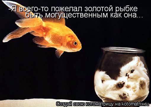 -Я всего-то пожелал золотой рыбке быть могущественным как она...... Котоматрица: -Я всего-то пожелал золотой рыбке быть могущественным как она...