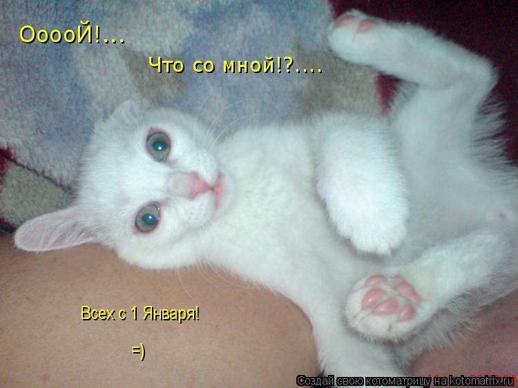 ОоооЙ!... Что со мной!?.... Всех с 1 Января! =)... Котоматрица: ОоооЙ!... Что со мной!?.... Всех с 1 Января! =)