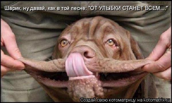 Шарик, ну давай, как в той песне: "ОТ УЛЫБКИ СТАНЕТ ВСЕМ...."... Котоматрица: Шарик, ну давай, как в той песне: "ОТ УЛЫБКИ СТАНЕТ ВСЕМ...."