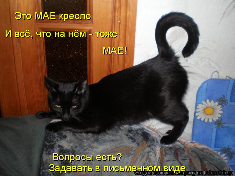 Это МАЕ кресло И всё, что на нём - тоже МАЕ! Вопросы есть? Задавать в письменном виде... Котоматрица: Это МАЕ кресло И всё, что на нём - тоже МАЕ! Вопросы есть? Задавать в письменном виде