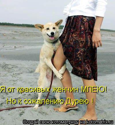Но к сожалению Дурею ! Я от красивых женчин МЛЕЮ!... Котоматрица: Но к сожалению Дурею ! Я от красивых женчин МЛЕЮ!