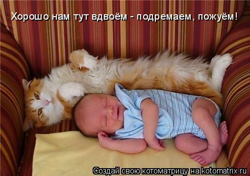 Хорошо нам тут вдвоём - подремаем, пожуём!... Котоматрица: Хорошо нам тут вдвоём - подремаем, пожуём!