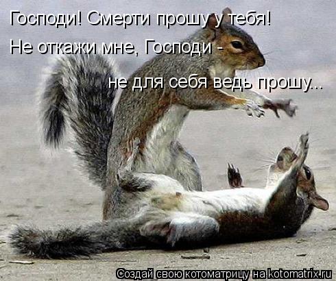Котоматрица: Господи! Смерти прошу у тебя!  Не откажи мне, Господи -  не для себя ведь прошу...