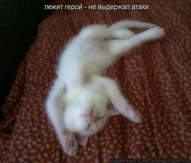 Котоматрица: лежит герой - не выдержал атаки