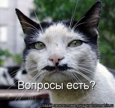 Вопросы есть?... Котоматрица: Вопросы есть?