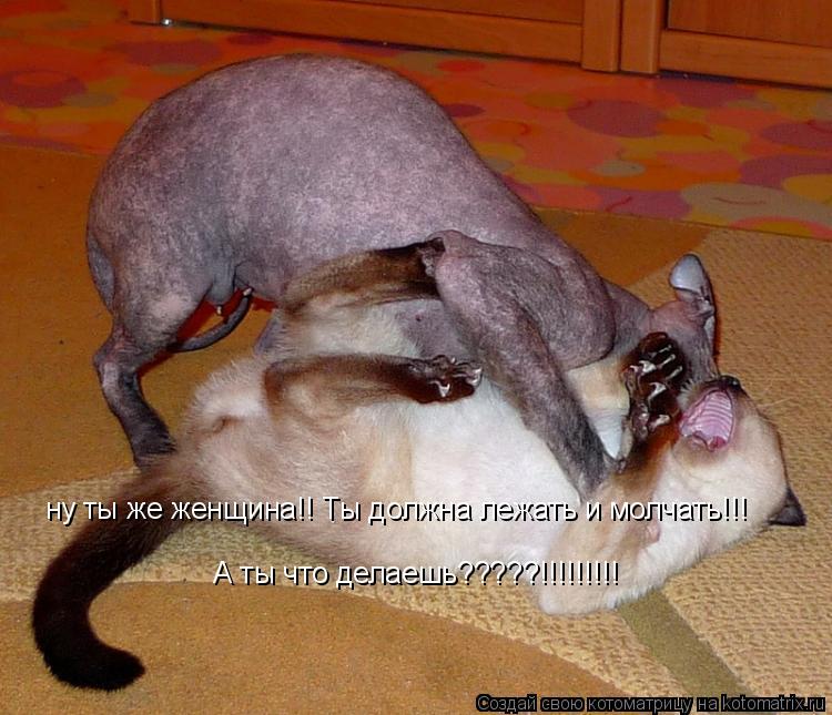 ну ты же женщина!! Ты должна лежать и молчать!!! А ты что делаешь?????!!!!!!!!!... Котоматрица: ну ты же женщина!! Ты должна лежать и молчать!!! А ты что делаешь?????!!!!!!!!!