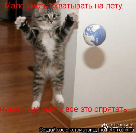 Мало уметь схватывать на лету, нужно еще уметь все это спрятать.... Котоматрица: Мало уметь схватывать на лету, нужно еще уметь все это спрятать.