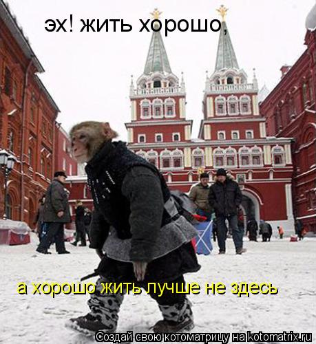 эх! жить хорошо, а хорошо жить лучше не здесь... Котоматрица: эх! жить хорошо, а хорошо жить лучше не здесь