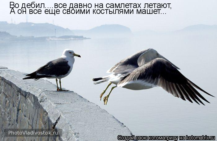 Во дебил....все давно на самлетах летают, А он все еще своими костылями машет...... Котоматрица: Во дебил....все давно на самлетах летают, А он все еще своими костылями машет...