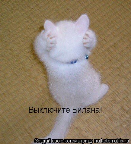 Котоматрица: Выключите Билана!