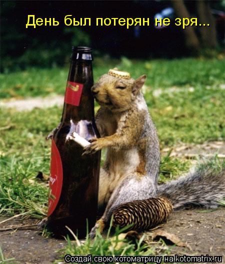 Котоматрица: День был потерян не зря...