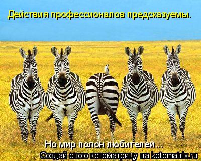 Котоматрица: Действия профессионалов предсказуемы.  Но мир полон любителей...