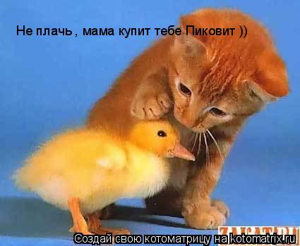 Котоматрица: Не плачь , мама купит тебе Пиковит ))