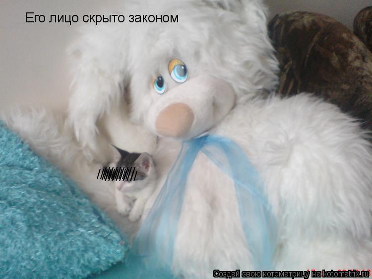 ///////// ///////// ///////// ///////// Его лицо скрыто законом... Котоматрица: ///////// ///////// ///////// ///////// Его лицо скрыто законом