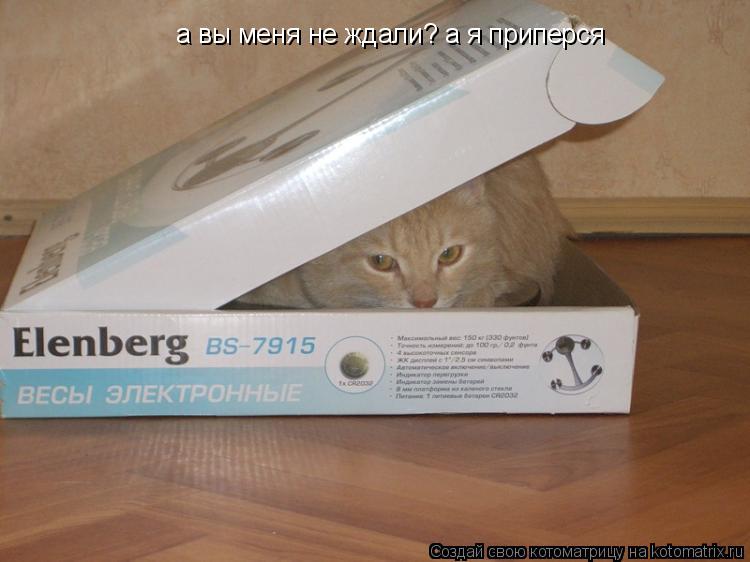 Котоматрица: а вы меня не ждали? а я приперся