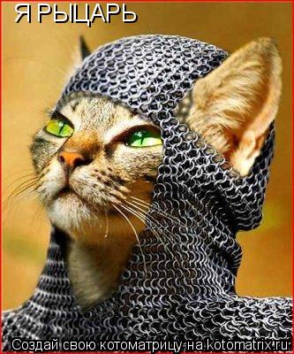 Я РЫЦАРЬ... Котоматрица: Я РЫЦАРЬ
