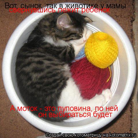 Вот, сынок, так в животике у мамы свернувшись лежит ребенок А моток - это пуповина, по ней он выбират... Котоматрица: Вот, сынок, так в животике у мамы свернувшись лежит ребенок А моток - это пуповина, по ней он выбираться будет