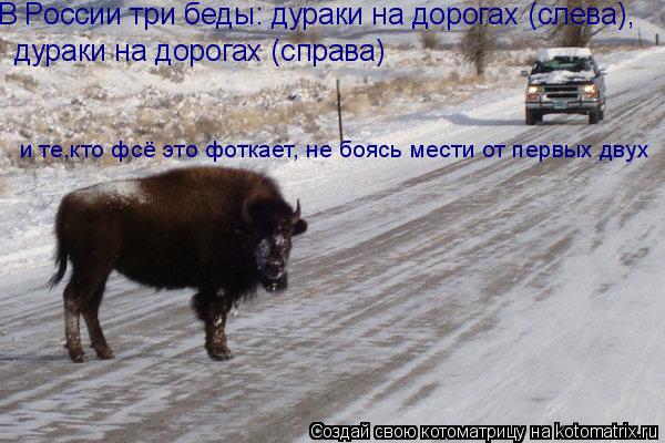 В России три беды: дураки на дорогах (слева), дураки на дорогах (справа) и те,кто фсё это фоткает, ... Котоматрица: В России три беды: дураки на дорогах (слева), дураки на дорогах (справа) и те,кто фсё это фоткает, не боясь мести от первых двух