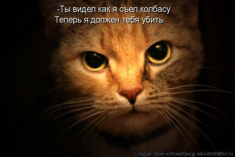 -Ты видел как я съел колбасу Теперь я должен тебя убить... Котоматрица: -Ты видел как я съел колбасу Теперь я должен тебя убить