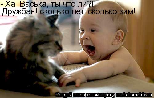 - Ха, Васька, ты что ли?! Дружбан! сколько лет, сколько зим!... Котоматрица: - Ха, Васька, ты что ли?! Дружбан! сколько лет, сколько зим!