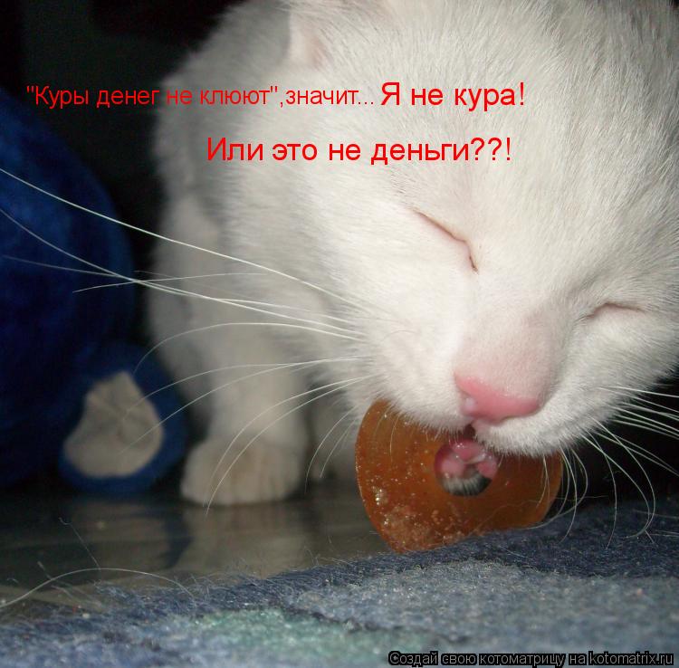 "Куры денег не клюют",значит... Я не кура! Или это не деньги??!... Котоматрица: "Куры денег не клюют",значит... Я не кура! Или это не деньги??!