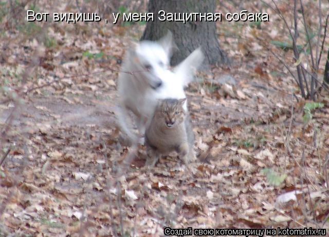 Вот видишь , у меня Защитная собака... Котоматрица: Вот видишь , у меня Защитная собака