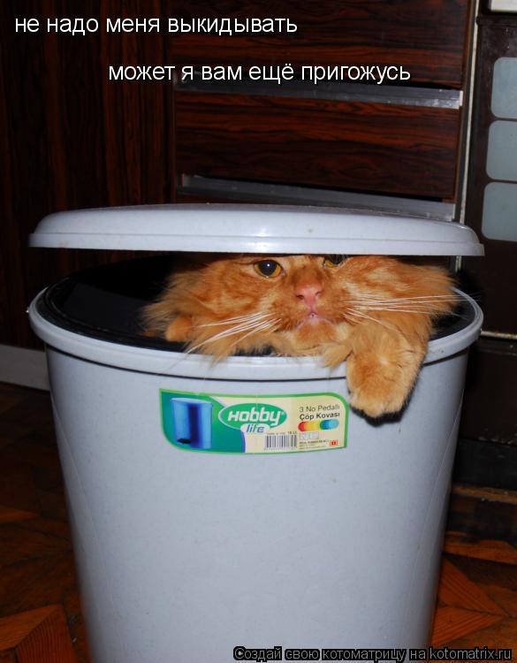не надо меня выкидывать может я вам ещё пригожусь... Котоматрица: не надо меня выкидывать может я вам ещё пригожусь