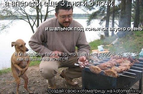 а впереди еще 3 дня и 3 ночи... и шалычок под коньячок вкусно очень я благодарен тебе за то,что взял ... Котоматрица: а впереди еще 3 дня и 3 ночи... и шалычок под коньячок вкусно очень я благодарен тебе за то,что взял мня с собой ой, ой, ой, как шашлычка хочется!