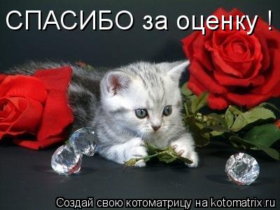 СПАСИБО за оценку !... Котоматрица: СПАСИБО за оценку !