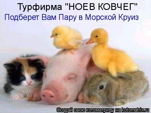 Турфирма "НОЕВ КОВЧЕГ" Подберет Вам Пару в Морской Круиз... Котоматрица: Турфирма "НОЕВ КОВЧЕГ" Подберет Вам Пару в Морской Круиз