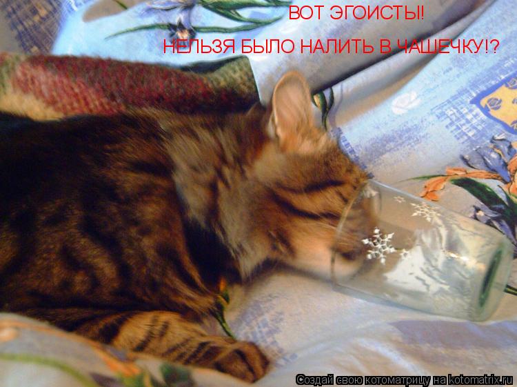 ВОТ ЭГОИСТЫ! НЕЛЬЗЯ БЫЛО НАЛИТЬ В ЧАШЕЧКУ!?... Котоматрица: ВОТ ЭГОИСТЫ! НЕЛЬЗЯ БЫЛО НАЛИТЬ В ЧАШЕЧКУ!?