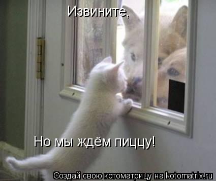 Извините, Но мы ждём пиццу!... Котоматрица: Извините, Но мы ждём пиццу!