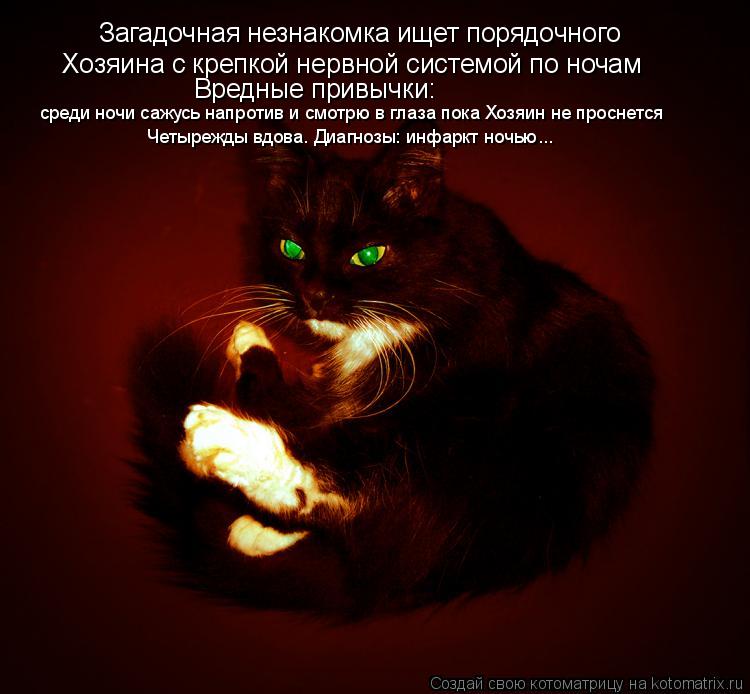 Загадочная незнакомка ищет порядочного Хозяина с крепкой нервной системой по ночам Вредные привычки: ... Котоматрица: Загадочная незнакомка ищет порядочного Хозяина с крепкой нервной системой по ночам Вредные привычки: среди ночи сажусь напротив и смотрю